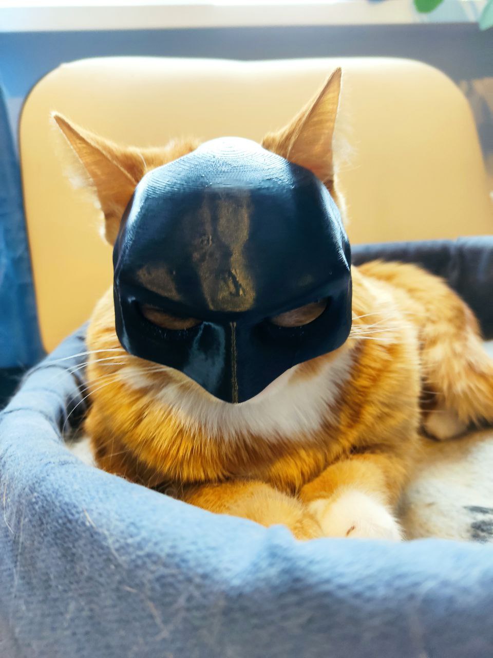 Маска для котов